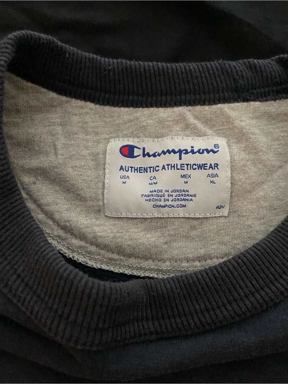 Vintage Gray/Blue Champion Hoodie